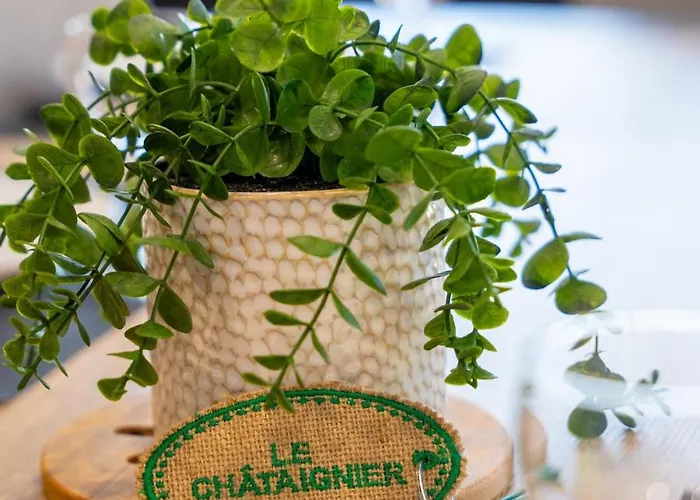 - Le Chataignier Casa de Férias